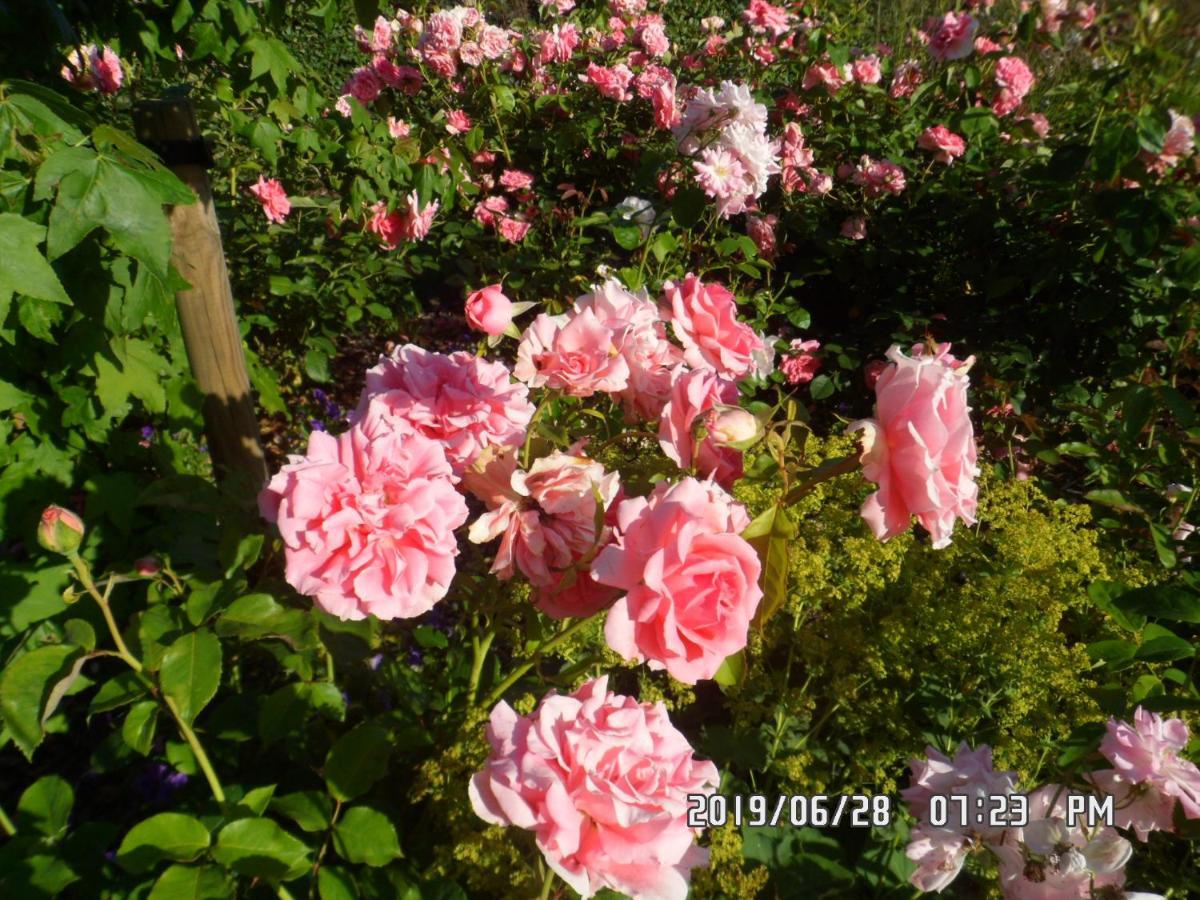 B&B Rozerie Anzegem Luaran gambar